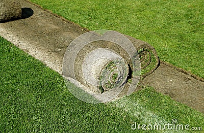 Laying of a grass rolled lawn at stadium Stock Photo