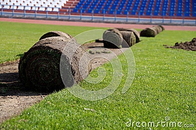 Laying of a grass rolled lawn at stadium Stock Photo