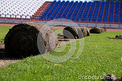 Laying of a grass rolled lawn at stadium Stock Photo