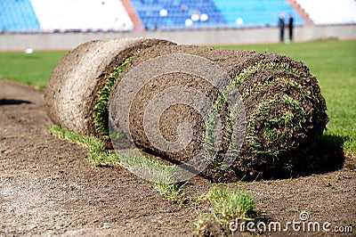 Laying of a grass rolled lawn at stadium Stock Photo