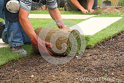 Laying sod for new lawn Stock Photo