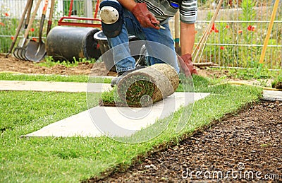 Laying sod for new lawn Stock Photo