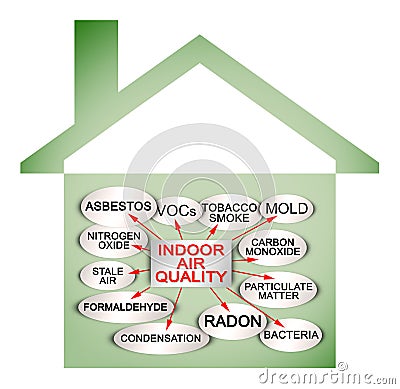 Layout about the most common dangerous domestic pollutants we can find in our homes which cause poor indoor air quality and Cartoon Illustration