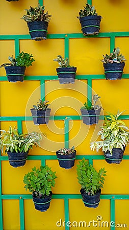 Layout for plant pots on the wall Stock Photo