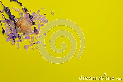 Layout on a yellow background. Lavender, purple bath salt, shell. Place text. Space copy. Stock Photo