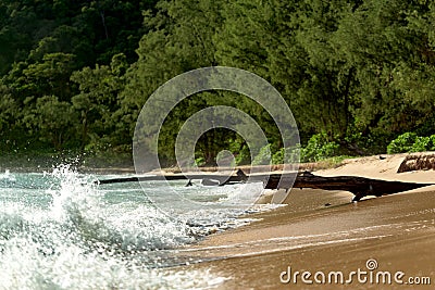 Lazy Beach coast, turquoise water and beach Stock Photo