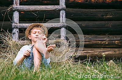 Lazy boy lies in grass under the barn - careless summer on count Stock Photo