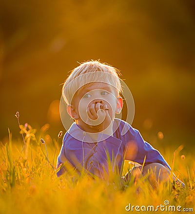 Lazy Summer Day Stock Photo