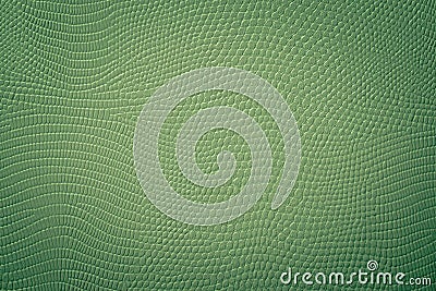 Green Neutral Snake Skin Texture Stock Photo