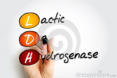LDH lactic dehydrogenase - enzyme found in almost all body tissues, acronym text Stock Photo