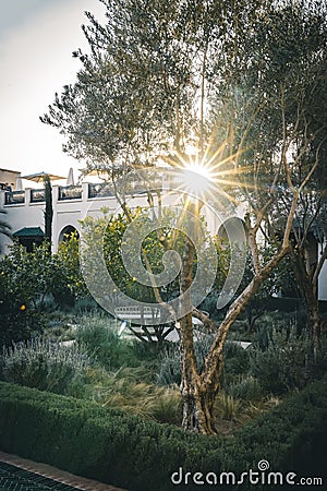 Le Jardin Secret Garden, Marrakech, Morocco old Madina, Marrakech, Morocco. Stock Photo