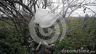 Le sachet en plastique est coincé sur une branche d'arbre et flotte dans le vent Concept de pollution clips vidéos Le sachet en plastique est coincé sur une branche d'arbre et flotte dans le vent Concept de pollution clips vidéos