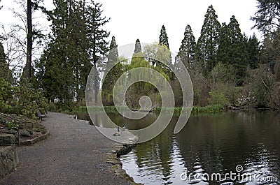 Leach Botanical Garden portland oregon Stock Photo