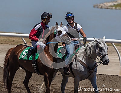 Lead Pony and Race Horse Editorial Stock Photo