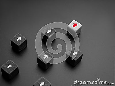 The leader with a red arrow on white dice. Stock Photo