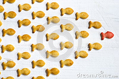 Leadership or follow the leader concept with small cookies with fish shape on white wooden background Stock Photo