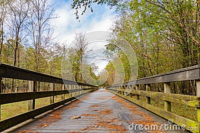 Leading lines of a wooden bridge leading over a creek and surrounded by trees under a cloudy blue sky on the Neuse River Greenway Stock Photo