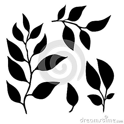 Set of leaves. Hand drawn decorative elements. Vector illustrationof silhouettes with leaves on a white background. Cartoon Illustration