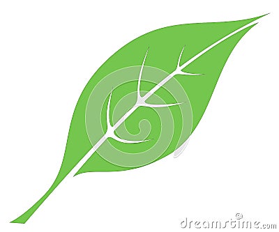 Leaf 6 Vector Illustration