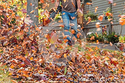 Leaf blower in action moving colorful fall leaves from residential lawn with intentional motion blur Stock Photo