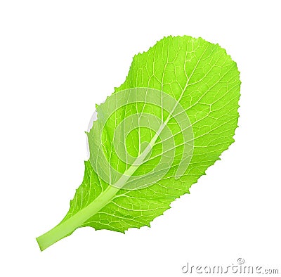 Leaf of choy sum a kind of chinese vegetable isolated on white Stock Photo
