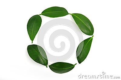 Leaf circle Stock Photo