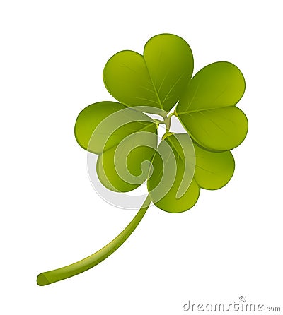 Leaf clover Vector Illustration