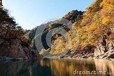 Leaf color change in Japan Autumn at Ryuokyo Canyon Stock Photo