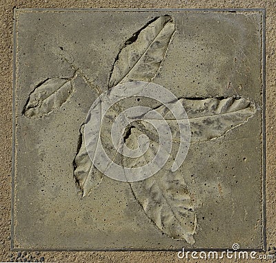 Leaf concrete stamp Stock Photo