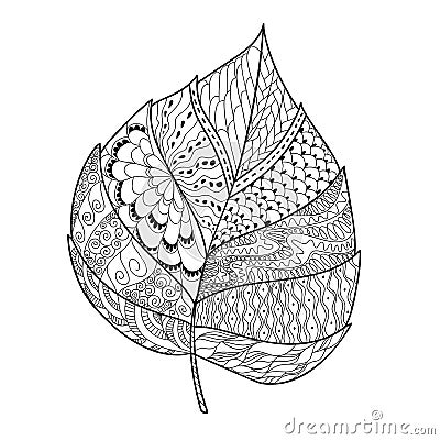 Leaf doodle Vector Illustration