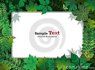 Leaf and frame background Stock Photo