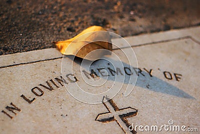 Leaf on a Grave Stock Photo