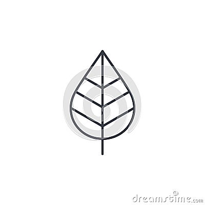 Leaf, green, eco thin line icon. Linear vector symbol Vector Illustration