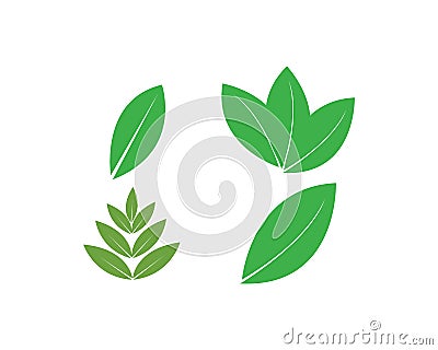 leaf Vector Illustration