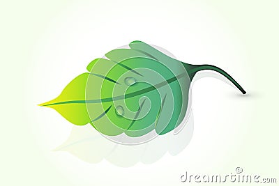 Leaf health nature logo vector Vector Illustration