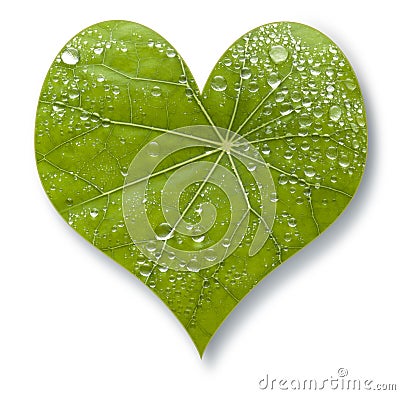 Leaf Heart Love Stock Photo