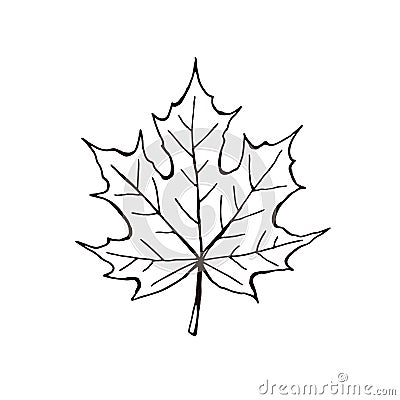 Leaf icon isolated Vector Illustration