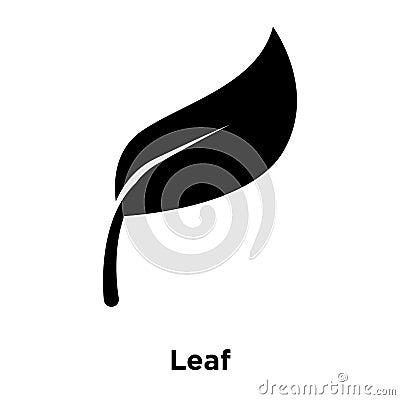 Leaf icon vector isolated on white background, logo concept of L Vector Illustration