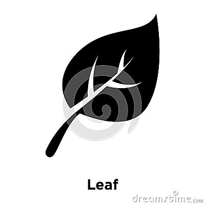 Leaf icon vector isolated on white background, logo concept of L Vector Illustration