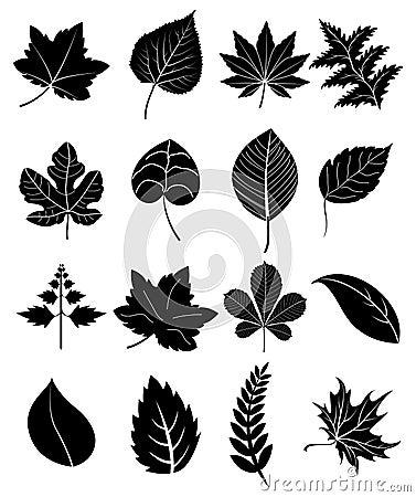 Leaf icons set Vector Illustration