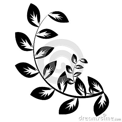 Leaf laurel Vector Illustration