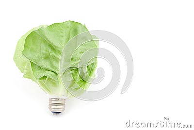 Leaf light bulb Stock Photo