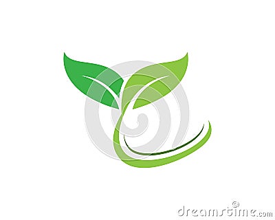 Leaf Logo vector and symbols Vector Illustration