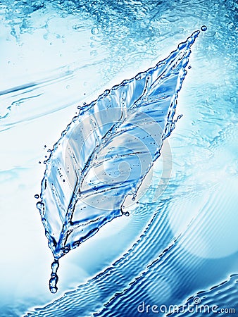 Leaf made of water splash Stock Photo