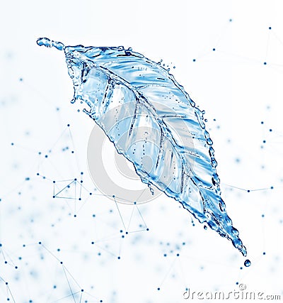 Leaf made of water splash Stock Photo