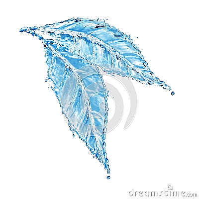 Leaf made of water splash Stock Photo