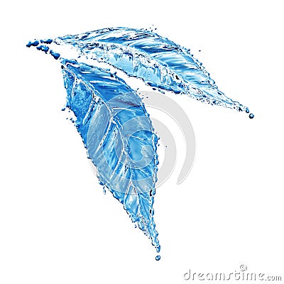 Leaf made of water splash Stock Photo