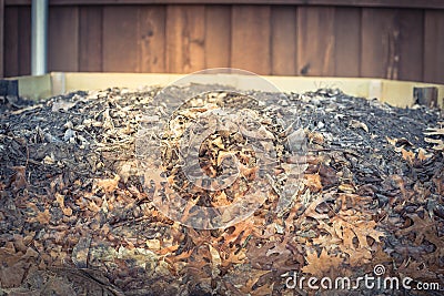 Leaf pile with decomposed top part sustainability urban farm in Texas, America Stock Photo