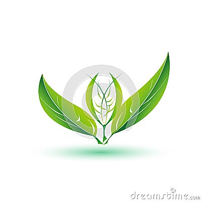 Leaf, plant, logo, ecology, people, wellness, green, leaves nature symbol icon vector designs Cartoon Illustration