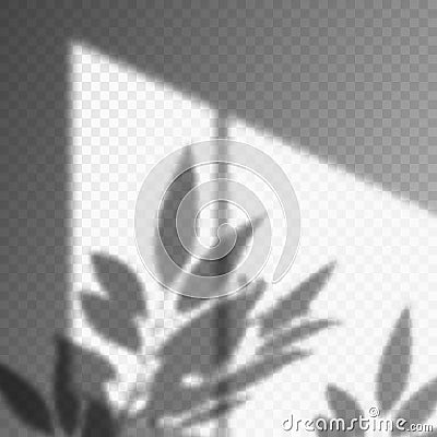 Leaf or plant shadow on transparent background Vector Illustration